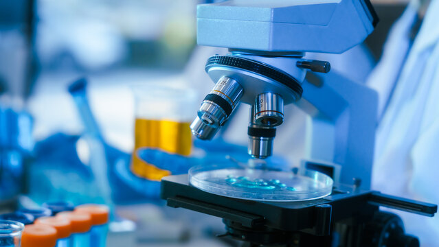 Close up of a microscope examining a sample in a laboratory with blue lighting, science equipment and petri dish for research, testing and medical analysis.