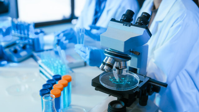 Scientist working with a microscope in a modern laboratory, with test tubes and a petri dish on the table during medical research