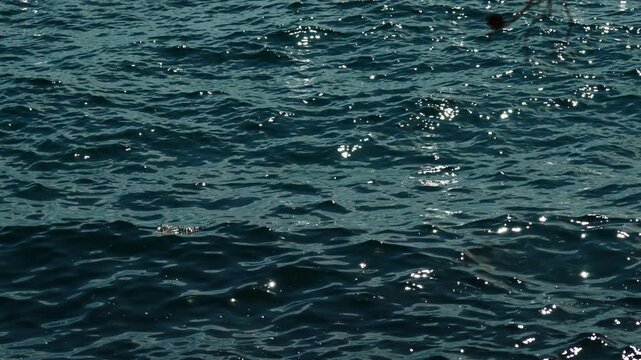 Small waves ripple across deep blue sea water as bright sunlight creates sparkling reflections and shifting patterns across the open surface.