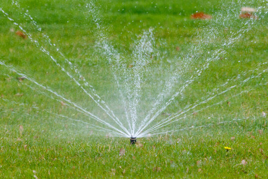 Close-up of automatic sprinkler watering vibrant green lawn