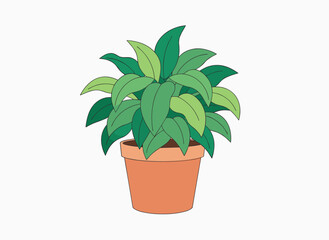 Fototapeta premium Healthy houseplant with vibrant green leaves stands in a classic terracotta clay pot against a clean white background.