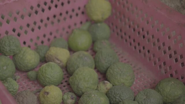 Fresh Kaffir Limes for Sale at Traditional Market Slog3 10 bit 4:2:2