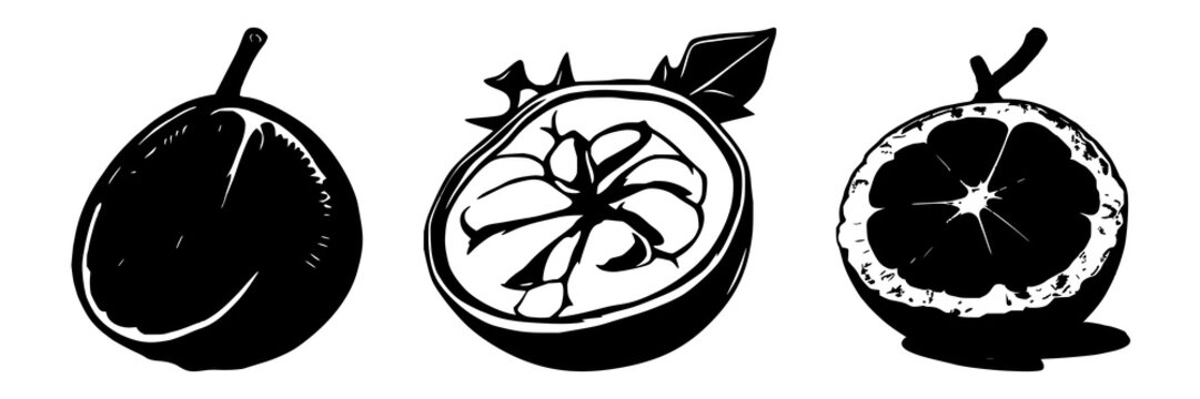 Laboratory-grown mangosteen cross-section silhouette set with solid black outline on white background featuring exotic future food theme and clean vector style