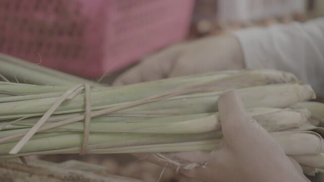 Fresh Lemongrass for Sale at Traditional Market Slog3 10 bit 4:2:2