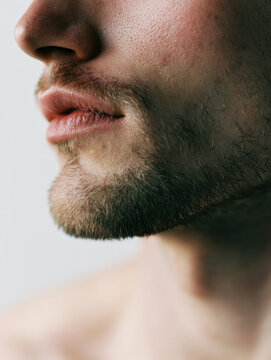 Male face close up with beard, lips, nose, and jaw in soft light, clean skin texture, gray background, blank space