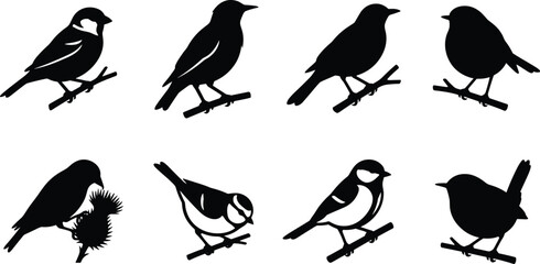 Perching songbird silhouette icon set featuring black vector shapes of sparrow robin tit finch and garden birds on branches © Robiul