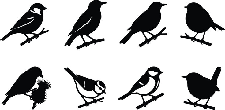 Perching songbird silhouette icon set featuring black vector shapes of sparrow robin tit finch and garden birds on branches