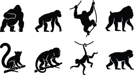Primate and monkey silhouette icon set featuring black vector shapes of gorilla chimpanzee orangutan baboon gibbon and lemur © Robiul