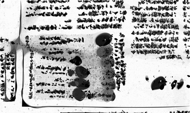 白地活字新聞風粒子地模様