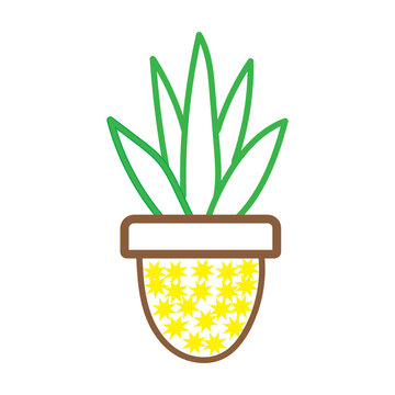 Potted plant with green leaves