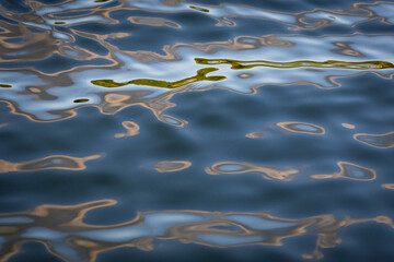 Abstract reflections ripple across deep blue water with soft streaks of green and bronze. Smooth shapes drift and swirl to create a modern fluid background for design and mood. © Chornogirskyi