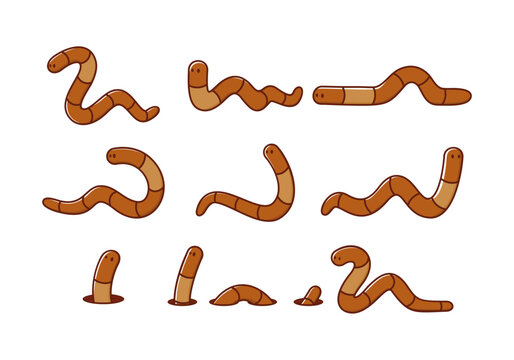 Cartoon Brown Earthworms Different Poses Vector Set