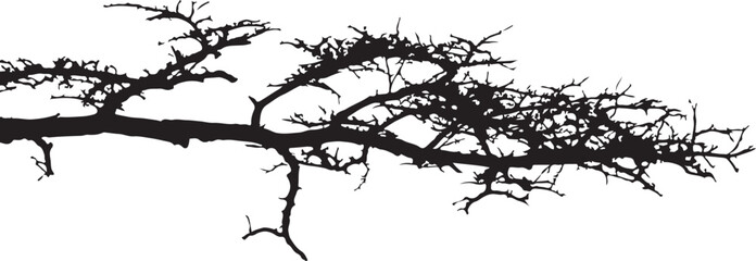Obraz premium Dry Tree Branch Vector Shape Design