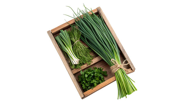 Wooden crate filled with fresh green organic scallions herbs isolated on transparent background