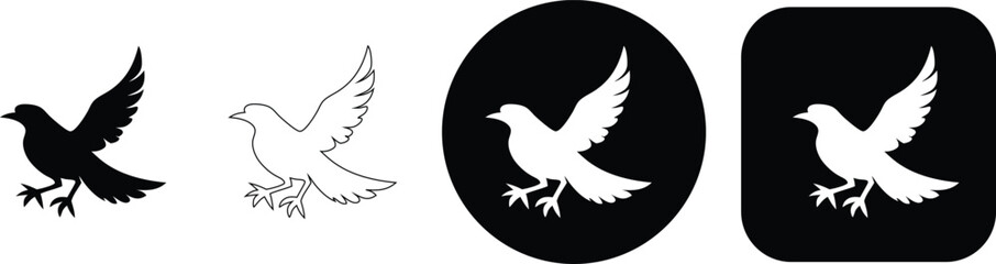 Fototapeta premium Set of four bird featuring a bird with wings spread in solid black, outline, white on black circle, and white on black rounded square