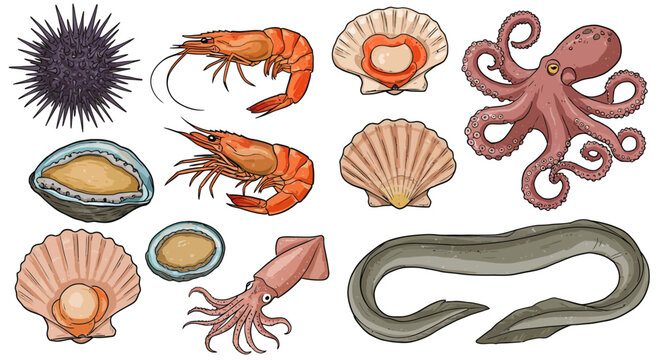 Seafood ocean creatures collection 1.