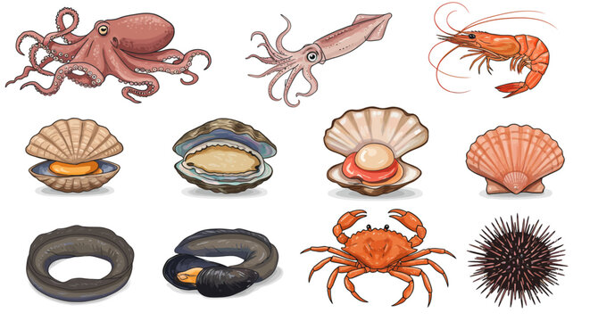 Seafood ocean creatures collection 2.