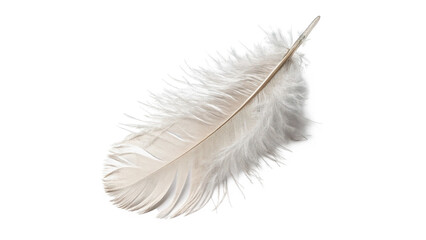 Single fluffy white bird feather with delicate detailed texture isolated on transparent background © Pavel