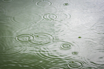 Intense rain flattens the pond into a shimmering sheet. Countless tiny splashes blur together building a dense texture that communicates storm energy freshness and unstoppable motion. © Chornogirskyi