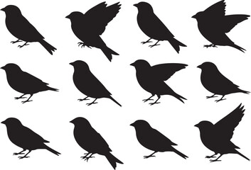 Fototapeta premium Collection of small bird silhouettes in various natural poses including standing, perching, and spreading wings, isolated on a white background.