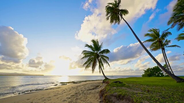 Beautiful landscape of sea palm beach with sunset background. The setting sun on the sea surface. Beautiful sunrise over the tropical sea. Green palm trees against a cloudy sky. Evening twilight.