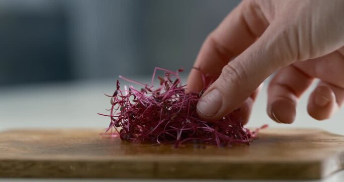amaranth micro greens being gently picked by hand on a wooden cutting board. Soft natural light, shallow depth of field, and vibrant colors highlight the freshness and delicate texture of organic