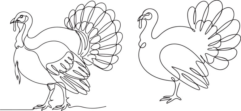 Thanksgiving turkey line art elegant continuous drawing for fall holiday decorations and festive celebrations