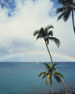 Sailboat on tropical sea under a rainbow