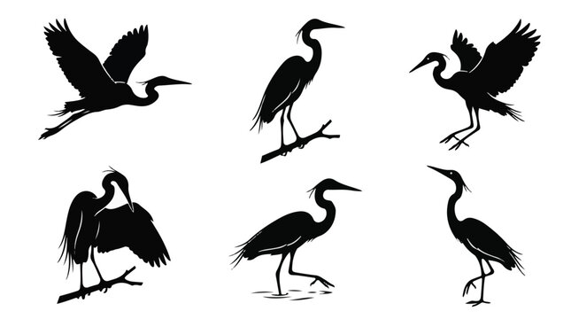 A set of six egret in various poses silhouette vector icon illustrations on a white background
