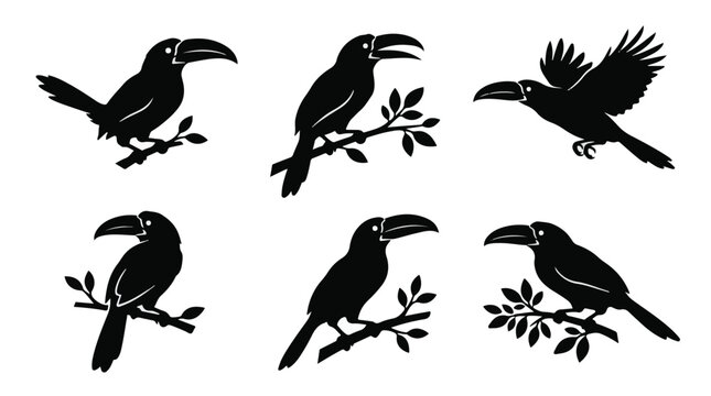 A set of six emerald toucanet in various poses silhouette vector icon illustrations on a white background
