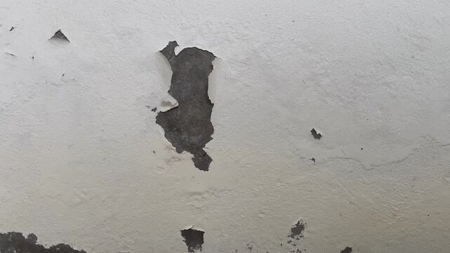 Peeling Wall Plaster with Damaged Cement Surface and Cracked Texture