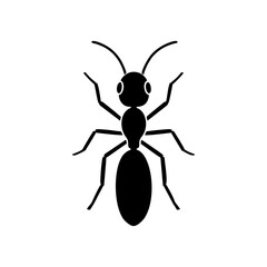 Fototapeta premium black ant isolated on white