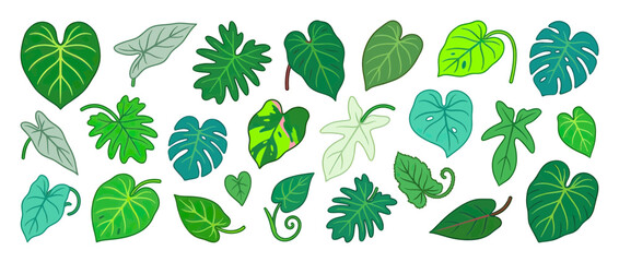 Assortment of Green Tropical Plant Leaves Collection © mimis