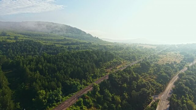 High aerial view showing continuous vehicle procession moving along two parallel roads and adjacent highway through dense green forested hills toward bright sunlit valley and shoreline, creating