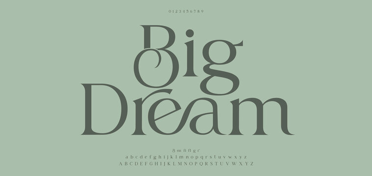 Big Dream, Elegant Font Uppercase Lowercase and Number. Classic Lettering Minimal Fashion Designs.