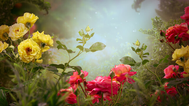 Fantasy garden with magical blooming rose flowers in fairy tale forest, fairytale glade wallpaper background, amazing magic foggy wood, tranquil misty landscape scene with greenery and copy space.