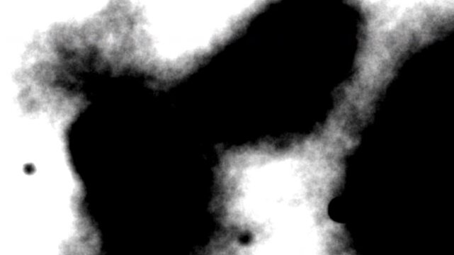 Abstract black and white ink blot transition matte spreading from white to black, grunge reveal matte for video editing wipes and reveals