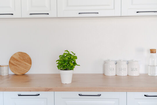 Fresh potted basil on a wooden kitchen counter with storage jars