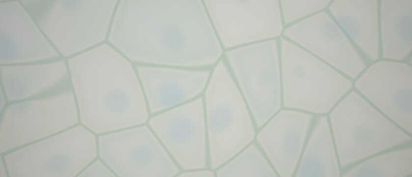 Cellular structure with nuclei