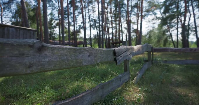 Close up of a rustic wooden fence in the pine forest