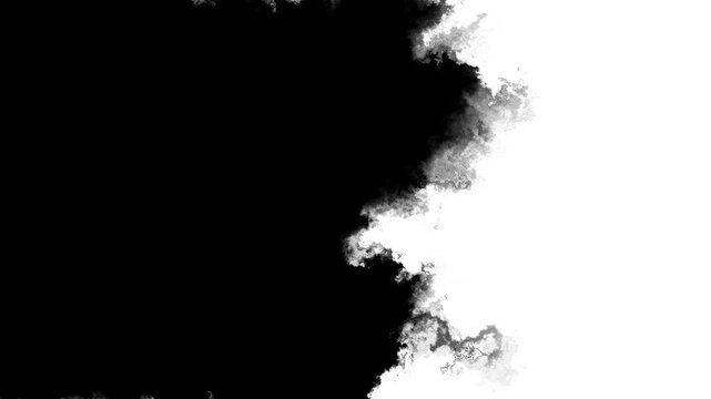 Black ink smoke edge white background cloud texture, misty border, high contrast style. for transitions, title reveals, grunge overlays, horror intros, film masks, abstract effects, smoky , mattes.