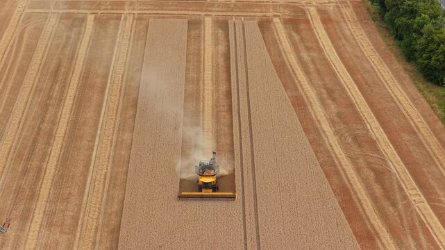 Aerial of a combine harvester in a grain fiel