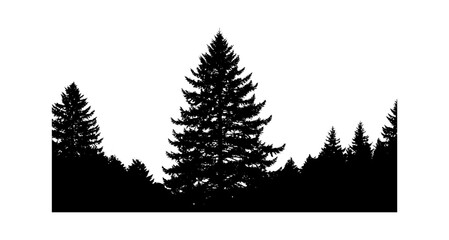 Fototapeta premium Black silhouette of pine trees in a forest line isolated on transparent background, Vector