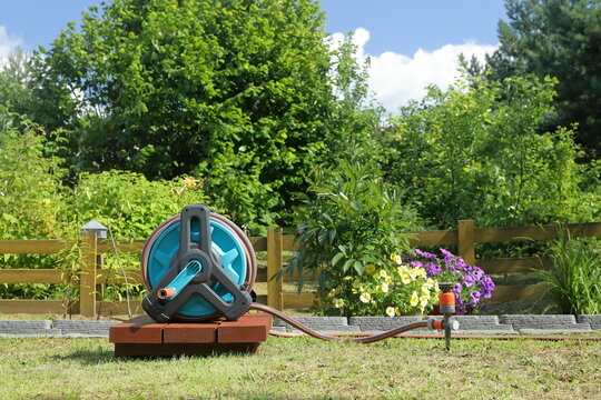 A garden hose reel with a sprinkler connected to it stands on a wooden pedestal in front of a yellow wooden hedge in a summer garden.