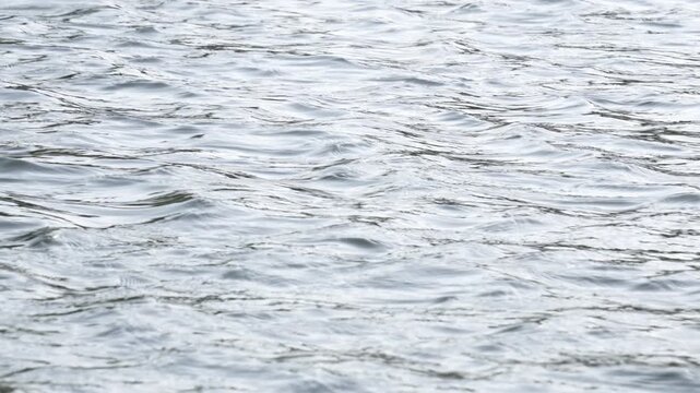 Gentle water ripples on the surface of lake or river with soft reflections