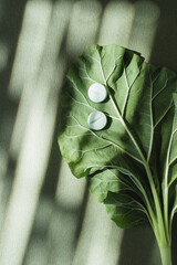 Fototapeta premium Vitamin supplement medicine pills on green leaf under sunlight shadows top view. Natural wellness, organic nutrition and beauty treatment.