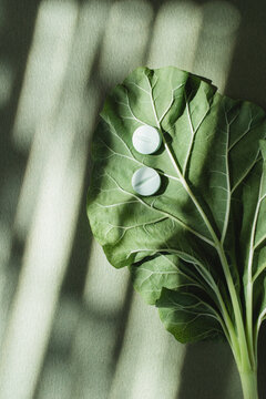 Vitamin supplement medicine pills on green leaf under sunlight shadows top view. Natural wellness, organic nutrition and beauty treatment.