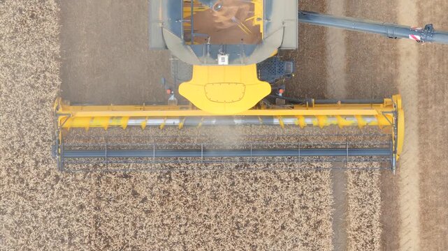 Aerial (Top-down view) Combine harvester in a grain fiel