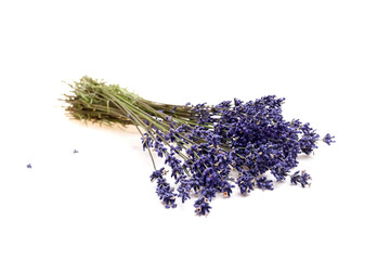 Lavender flowers arranged in a bundle on a white background, showcasing vibrant purple blooms and green stems, ideal for floral design and decoration projects © mikeosphoto