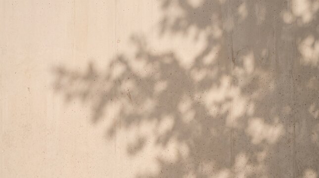 Weiche Bl&auml;tterschatten fallen auf eine helle beige Betonwand im Sonnenlicht